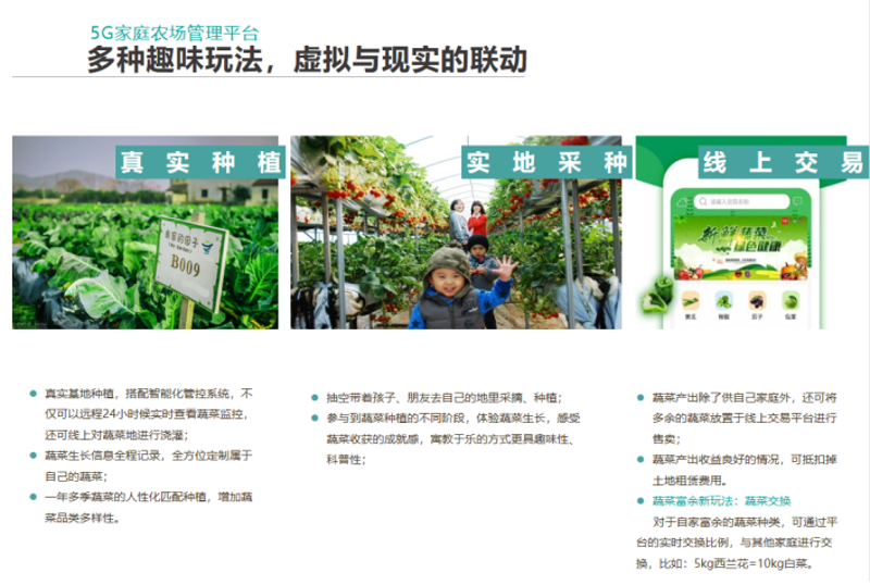 朴门永续农业:创造一个自我维持的绿色家园