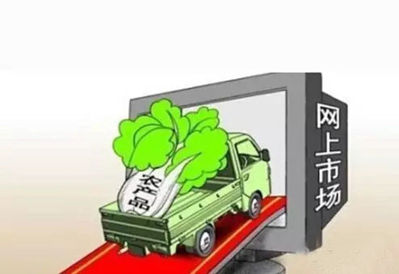 你是否曾经好奇,什么是真正的“有机农产品”?在现代农业蓬勃发展的今天,“有机”这个词似乎越来越频繁地出现在我们的视野中。那么,有机农产品到底意味着什么?我们通过几个具体的案例来深入探讨一下。